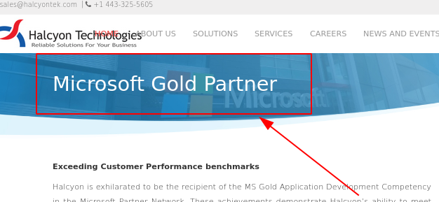 Microsoft Gold Partner Halcyon